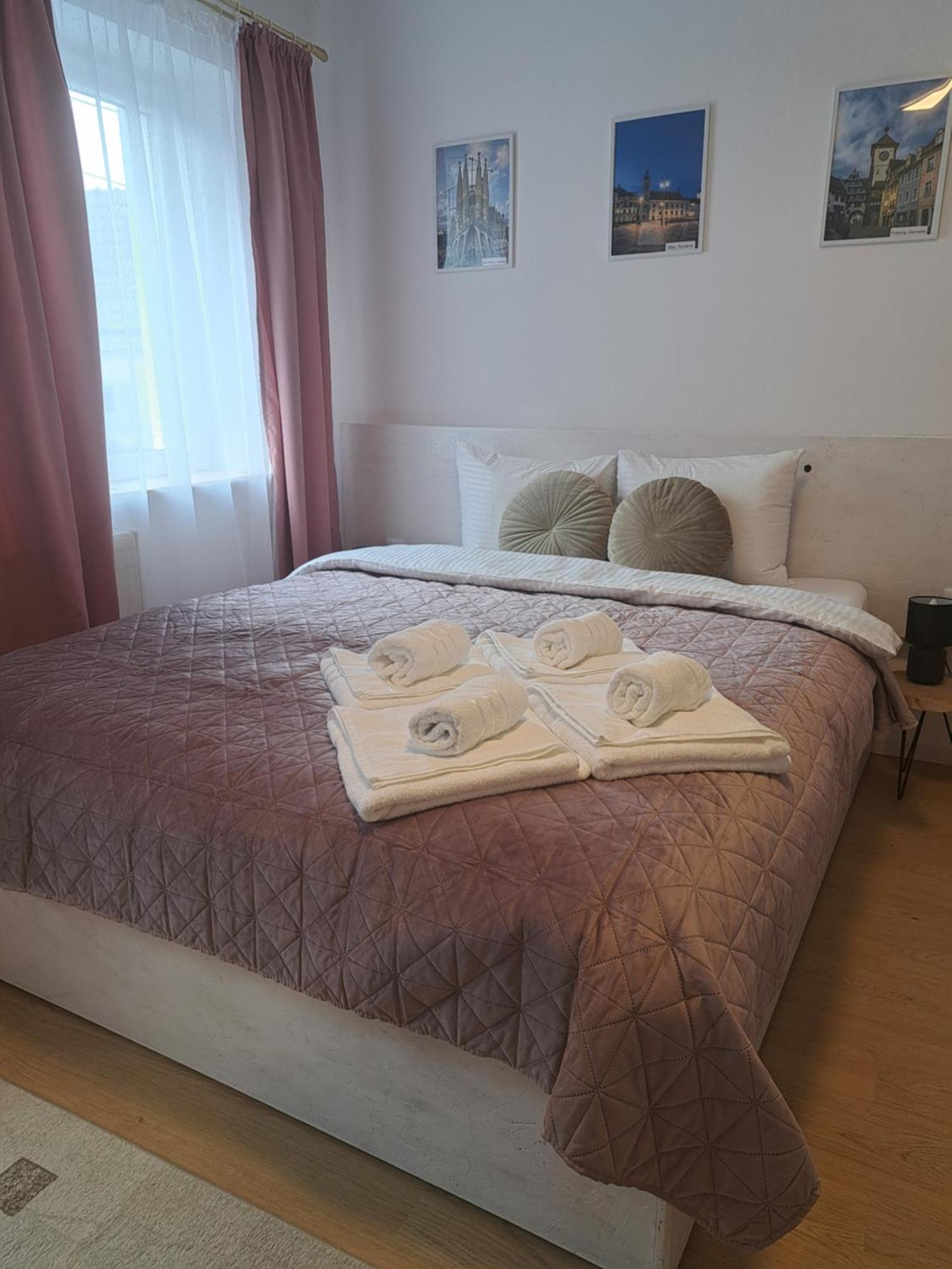 Studio With Free Parking In The Center - Deliamo 3 Sibiu Dış mekan fotoğraf