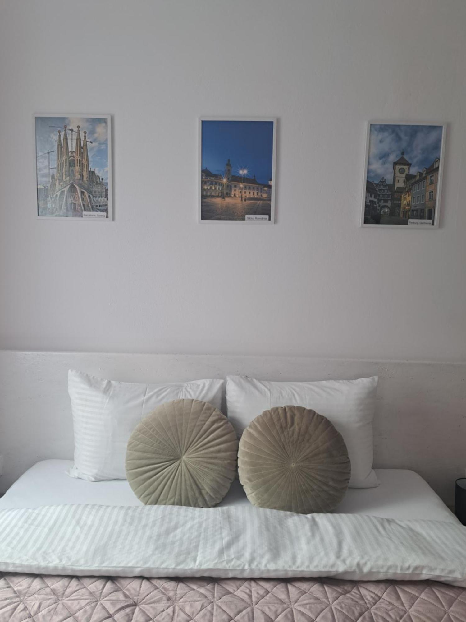 Studio With Free Parking In The Center - Deliamo 3 Sibiu Dış mekan fotoğraf
